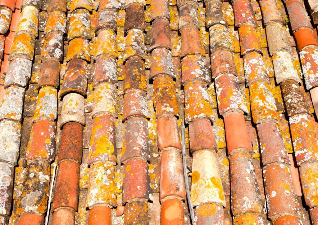 A close-up view of a roof with old, weathered tiles in various shades of red, orange, and brown, with patches of white and yellow lichen and moss.