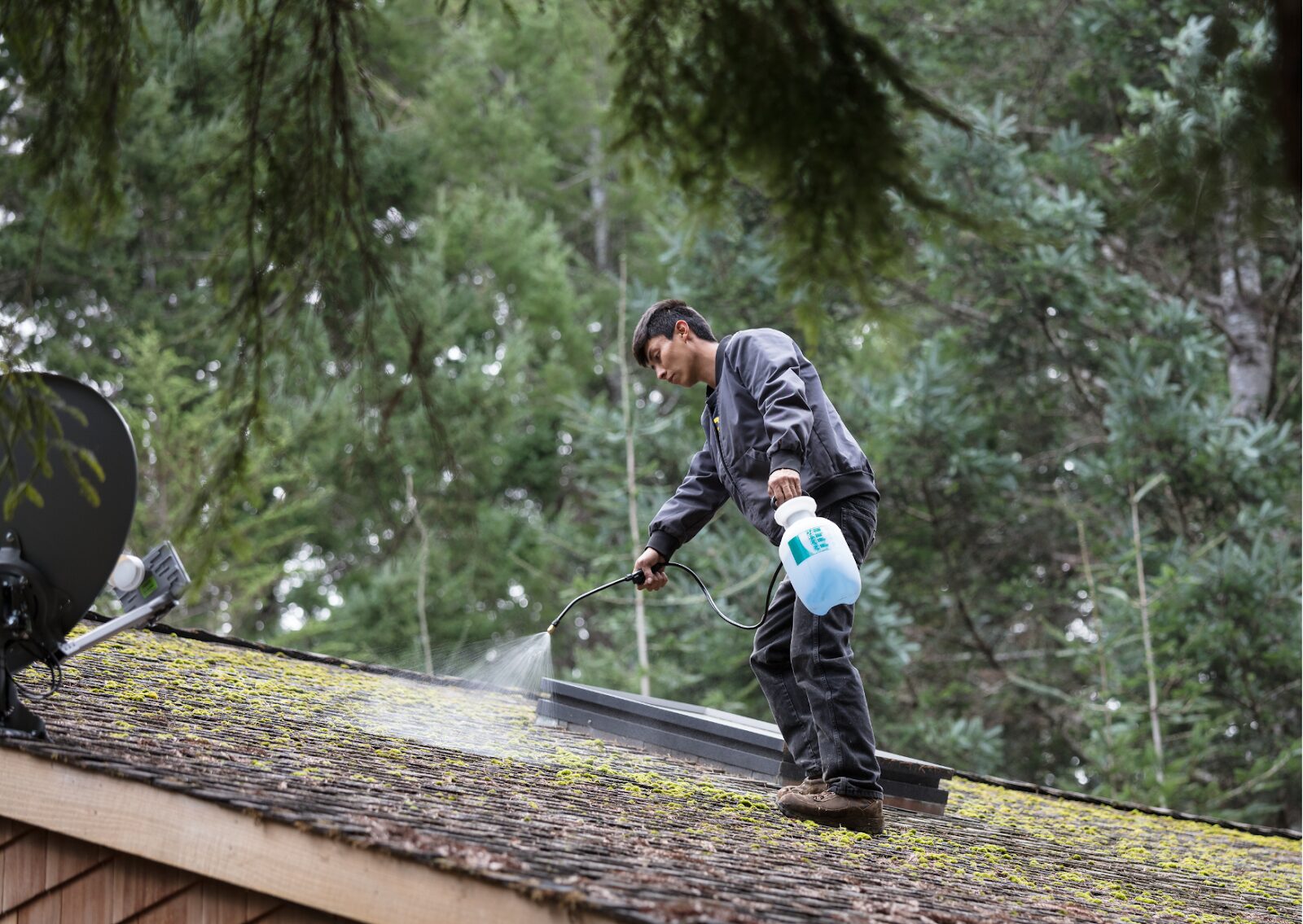 Man applying cleaning solution to moss-covered roof using handheld sprayer while performing roof maintenance.